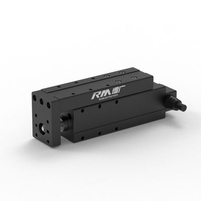 RobustMotion RM-NPLA 산업 자동화를 위한 우수한 부하 용량을 가진 컴팩트 산업용 전기 액추에이터