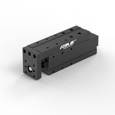 RM-NPLA 전기 선형 Actuator, 마이크로 플랫폼 타입 선형 Actuator, 고속 및 안정적으로